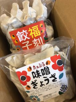 居酒屋のおかあちゃん手作り　“パリパリひと口ぎょうざ”と“もちもち餃子”コラボセット 合計80個　H136-039