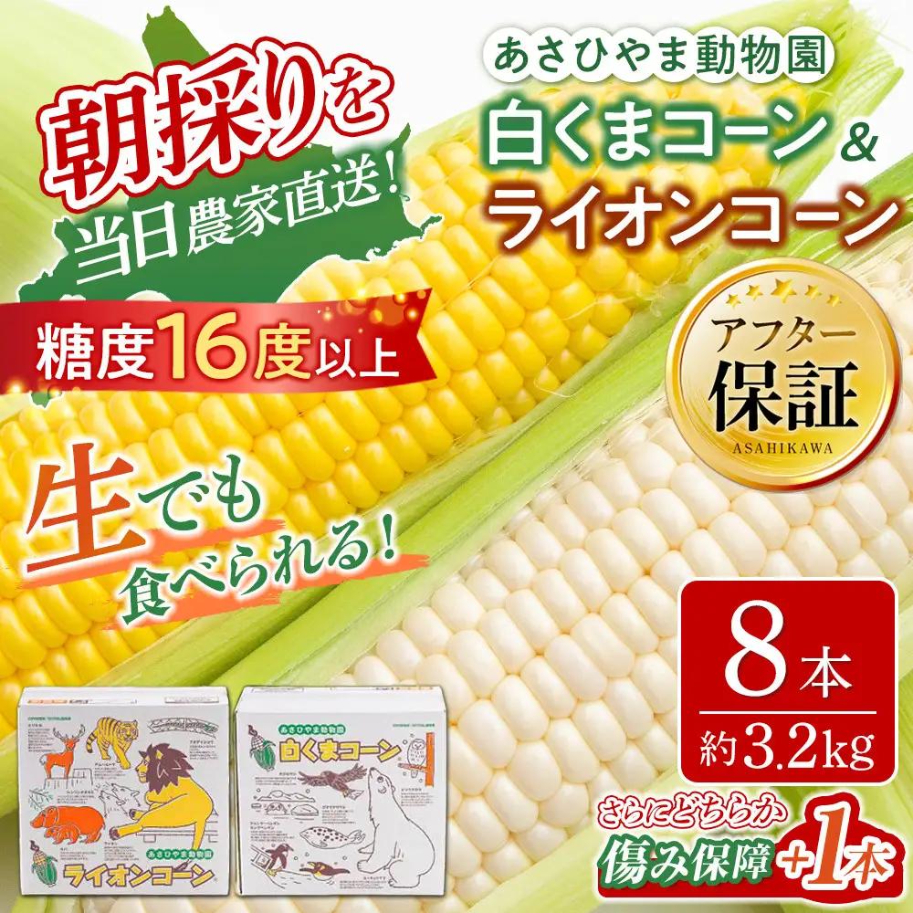 【先行予約】旭山動物園　白くま ライオンコーン MIX 合計8本（2026年8月中旬から発送開始） | とうもろこし 北海道産とうもろこし _03815