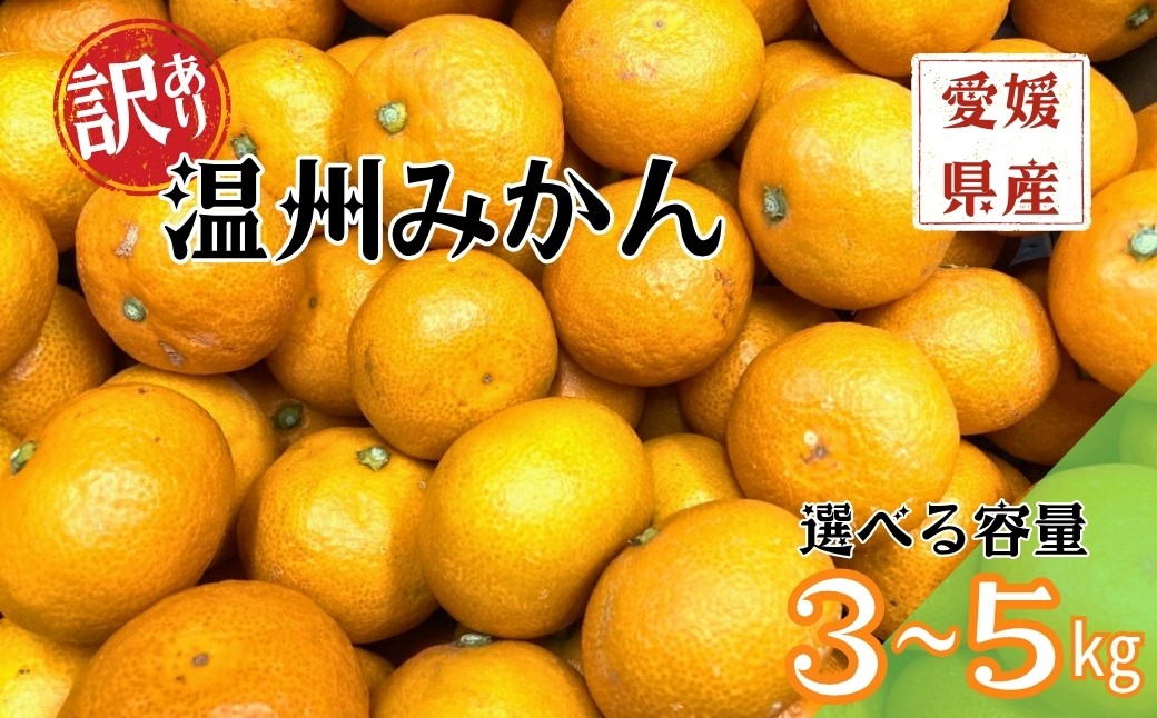 
                  【2026年先行予約】訳あり 温州みかん 【選べる容量】3kg 5kg ご家庭用 【2026年11月上旬以降発送】 人気 愛媛 みかん 柑橘 伊予市
                