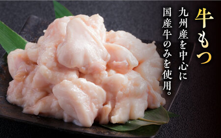 もつ鍋 醤油味 2人前 [ABDJ001] もつ鍋