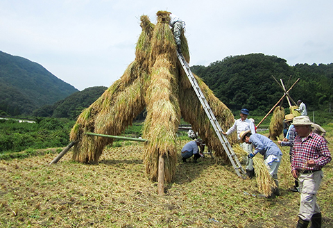 竜馬が醸す石見の地酒「開春」辛口純米酒セット【日本酒 3本 セット 3種類 720ml 開春 純米超辛口 生もと純米 西田 純米 備前雄町 辛口純米酒 辛口 純米酒 飲み比べ 4合瓶 ギフト 父の日】