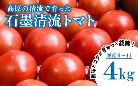 【贈答用】石墨清流 トマト 4kg｜糖度9～11度 そのままでも 美味しい 久万高原町 トマト とまと 自然栽培 野菜 カレー トマトソース 濃縮 ヒナタ 安心 酸味 甘味 清流 料理 農家 旨み サンドイッチ 新鮮 煮込み 料理 アレンジ 美味しい 手作業 人気 ギフト プレゼント 自然 小長谷勝也 愛媛 ※離島への配送不可 ※2026年7月下旬頃より順次発送予定
