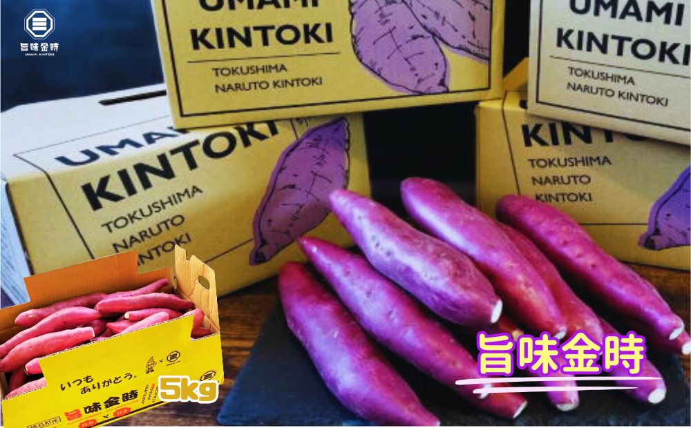 【予約受付中・2026年11月中旬頃より順次発送】鳴門市大津産　旨味金時 5kg　鳴門　ほくほく　天ぷら　焼き芋　スイーツ　さつまいも　