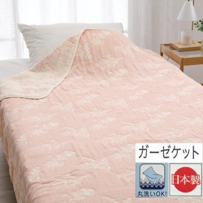 ふるさと納税 泉大津市 【お肌ここちSTYLE】　5重ガーゼケット　シングル　1枚　54353900　PI