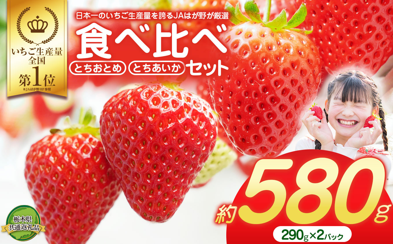 
            大人気！日本一のいちご生産量を誇るJAはが野が厳選 最旬 とちおとめ・とちあいか食べ比べセット 290g×2P | いちご とちおとめ とちあいか 甘い 美味しい 果物 共通返礼品 フルーツ デザート 栃木県 那珂川町 送料無料
          