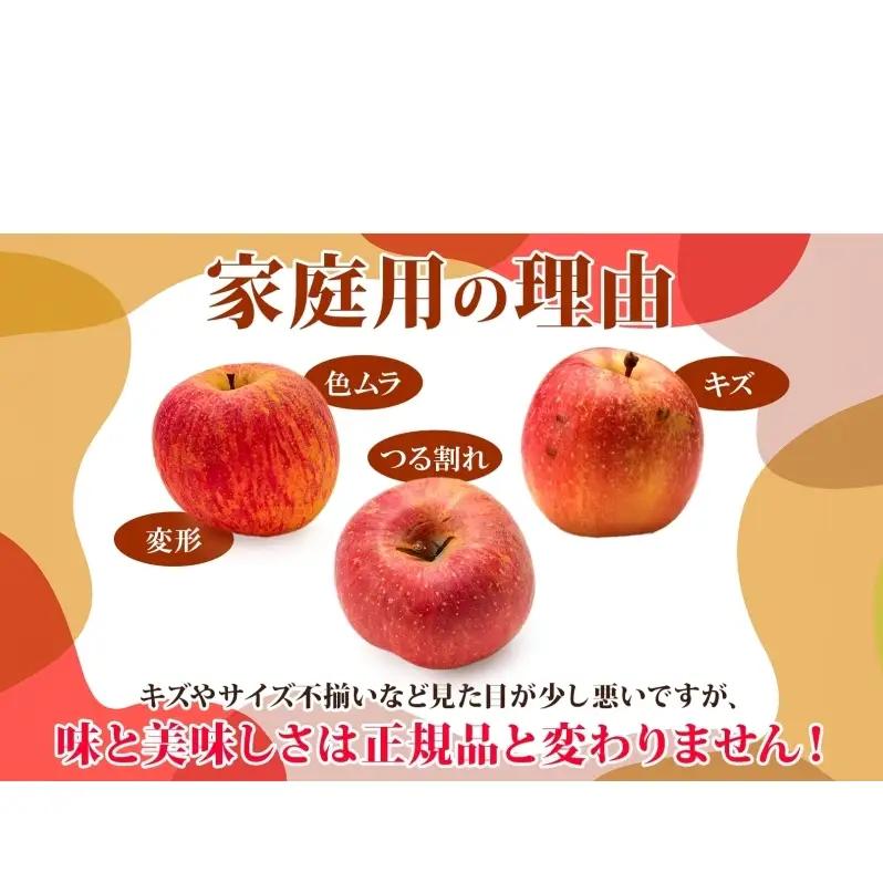 りんご 【12月発送】 家庭用 旬のりんご 品種おまかせ 約 5kg 2品種～4品種　リンゴ 林檎 青森りんご アップル おまかせ ランダム フルーツ 果物 デザート 旬 季節限定 産地直送 青森県産
