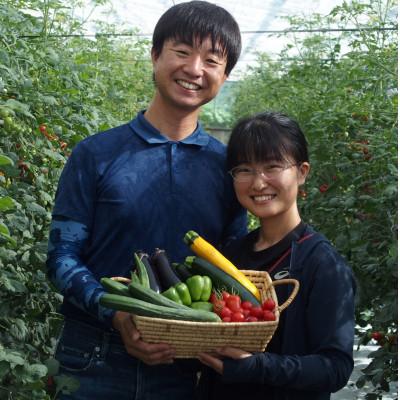 ふるさと納税 千曲市 長野県千曲市産【有機JAS認証】信州ありさんファームの有機野菜7〜9品目セット |  | 02