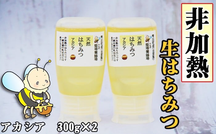 
                  簗場養蜂場 非加熱 生はちみつ アカシア 300g 2本 【あねっこ】 純粋 蜂蜜 はちみつ ハチミツ ハニー 600g 国産 国内産 日本産 ボトル 長期保存 産地直送 アカシヤ 蜜 みつ ミツ 人気 稀少 希少 お取り寄せ プレゼント 贈り物 仕送り 家庭用 自宅用 常温発送 調味料 隠し味 おすすめ
                