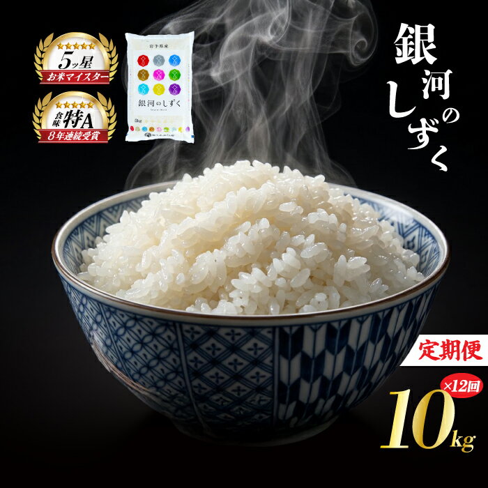 【ふるさと納税】 銀河のしずく 10kg 5kg×2袋 米 定期便 12回 12ヶ月 連続 お届け 盛岡市産 いわて米 ブランド米 精米 白米 米 お米 こめ コメ ライス ご飯 ごはん 美味しい おすすめ贈り物 ぎんがのしずく 国産 産地直送 盛岡 佐々木米穀店