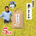 【ふるさと納税】【希少品種】【令和6年産】減農薬米　夢まどか5kg×1袋