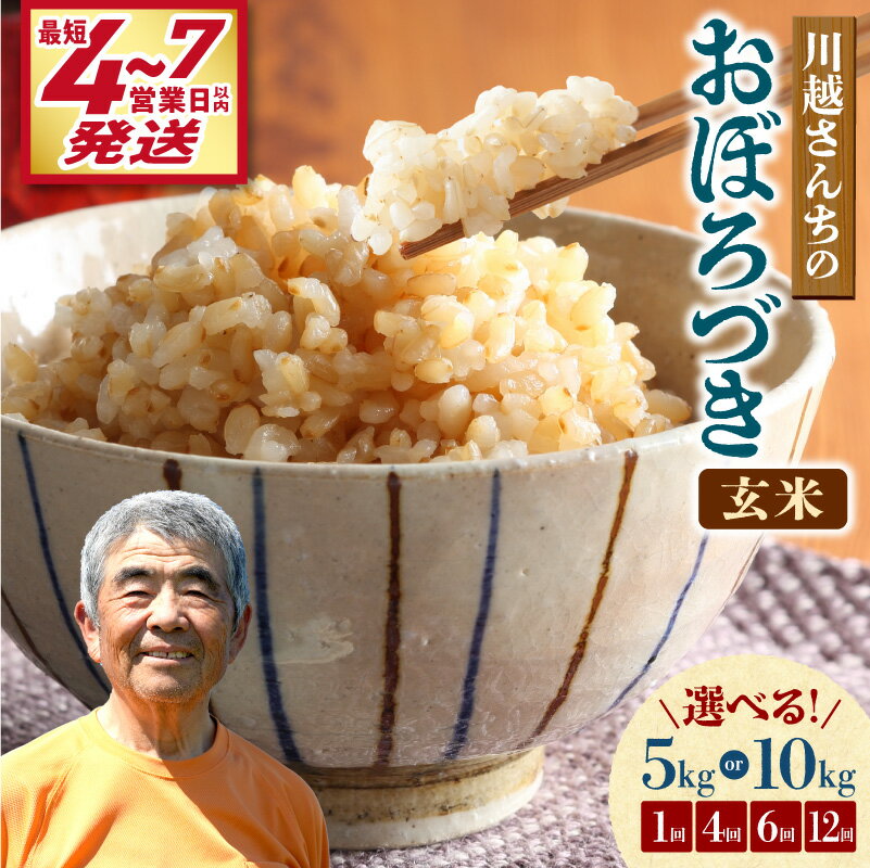【ふるさと納税】＼ 最短4営業日以内発送～！ ／ 令和7年産 川越さんちのおぼろづき 玄米【 選べる！5kg or 10kg / 1回 ・ 4回 ・ 6回 ・ 12回 】北海道産米 ごはん ブランド 定期便 米 もっちり やわらか おにぎり お弁当 バランスが良い お取り寄せ 北海道 雨竜町 送料無料