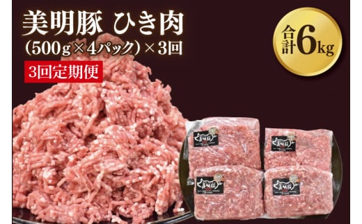 【3ヶ月定期便】【美明豚】挽肉 計2kg(約500g×4パック)｜肉 お肉 国産ひき肉 豚肉 挽肉 美明豚 豚 ハンバーグ 煮物 キーマカレー 定期便 茨城県 行方市(DH-20)