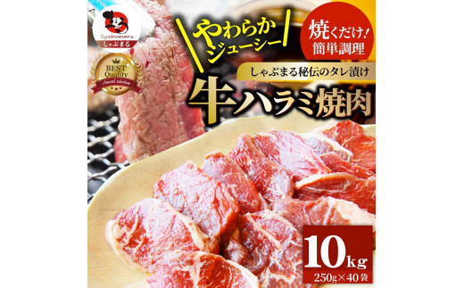 
1132-7　やわらか牛ハラミ焼肉 秘伝のタレ漬け10kg(250g×40P)
