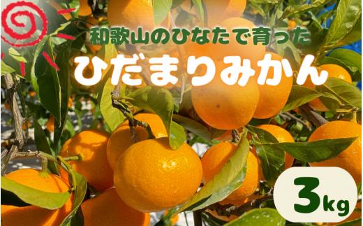 <先行予約＞日向屋 ひだまりみかん　3kg ※2024年12月頃に順次発送予定【期間限定・先行予約・2024/11/30まで】 / 田辺市 みかん 期間限定 先行予約 ミカン 和歌山 紀州