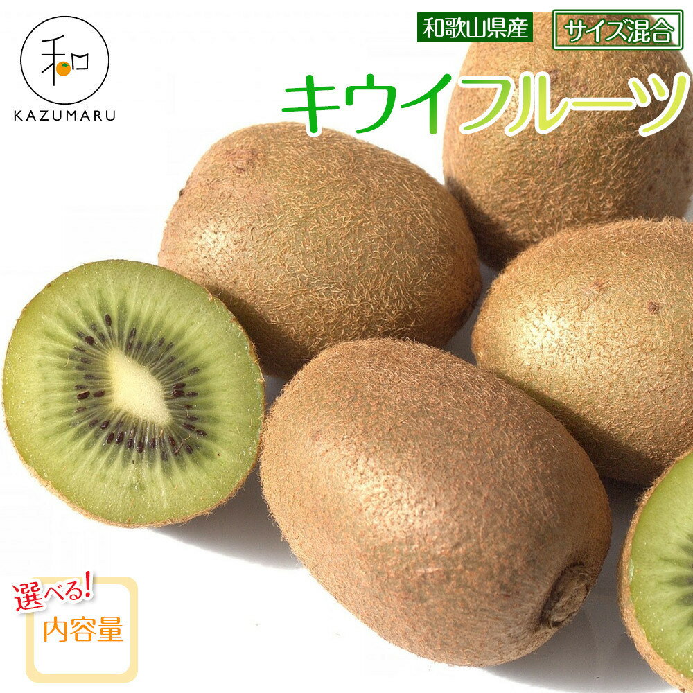 【ふるさと納税】【選べる容量】森本農園の キウイフルーツ 約2～5kg 和歌山県産 サイズ混合 ［北海道・沖縄・離島配送不可］［2026年2月上旬から順次発送］ | キウイフルーツ キウイ フルーツ 果物 くだもの 食品 人気 おすすめ 送料無料