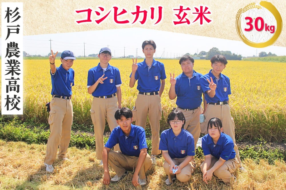 
            新米 コシヒカリ (玄米) 30kg 農業高校生が本気で育てた逸品！埼玉県立杉戸農業高等学校 生物生産技術科 作物専攻 ※色彩選別済！｜数量限定 期間限定 米 おこめ うるち米 玄米 ご飯 ごはん こしひかり 農業高校 国産 埼玉県 さいたま 杉戸町 [0632]
          