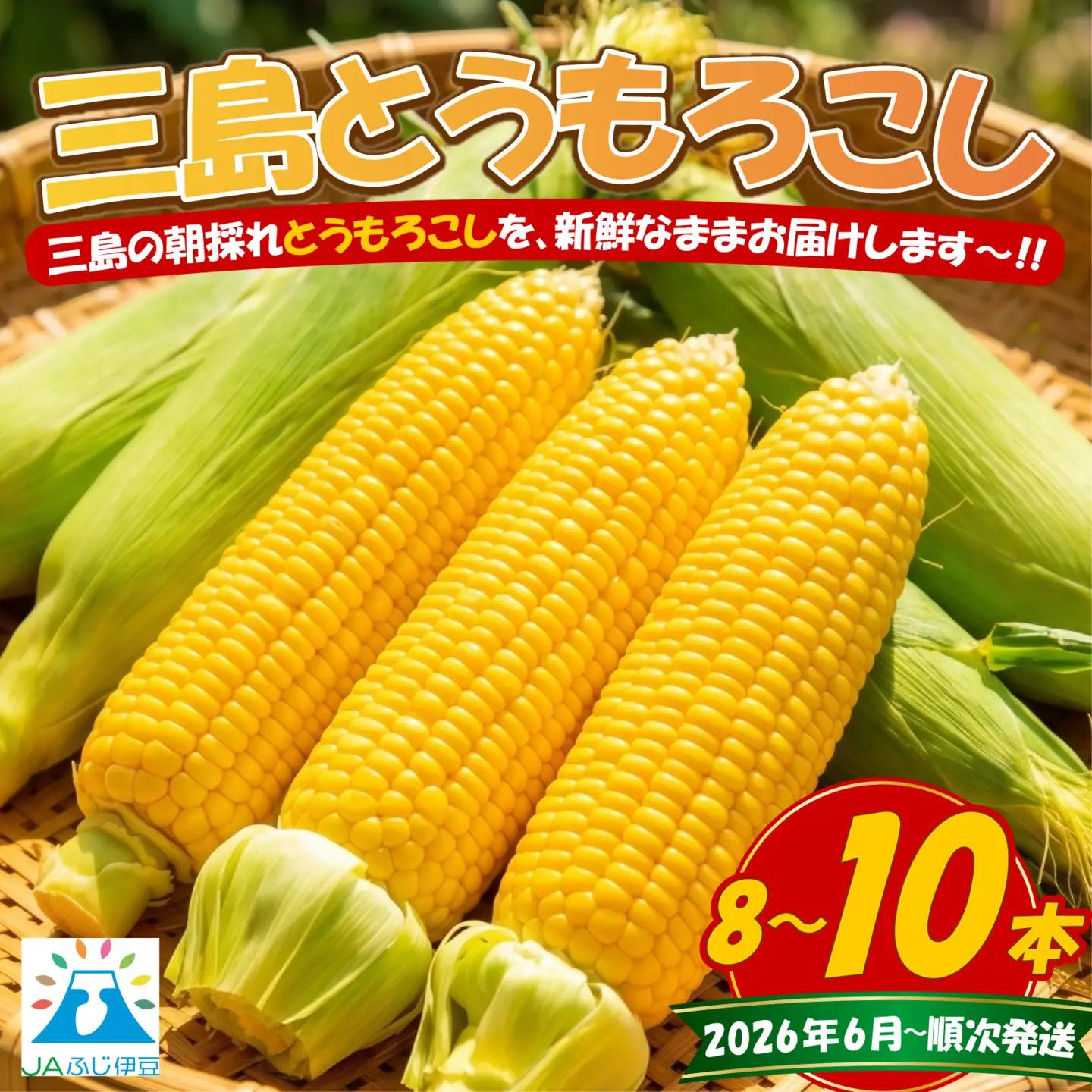 三島とうもろこし 8本～10本 とうもろこし