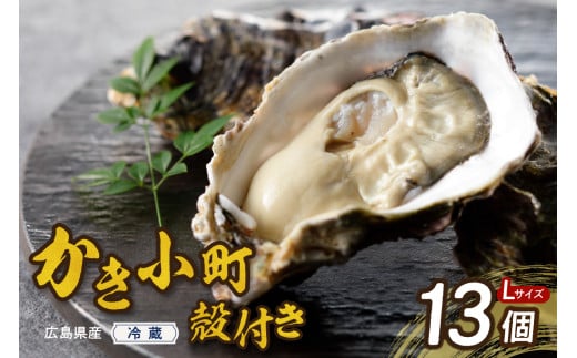 【2025年11月解禁後順次発送】高田水産 殻付 かき小町 13個 (Lサイズ) ku010-006-11-25