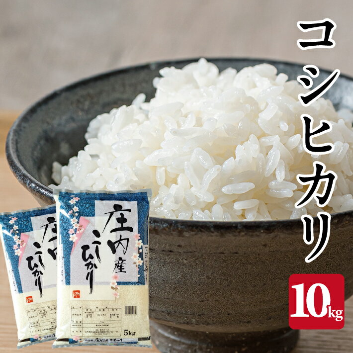 【ふるさと納税】コシヒカリ 計10kg 5kg×2袋 令和7年産米 山形県庄内産 東北 遊佐町 庄内地方 庄内平野 米 お米 精米 白米 庄内米 ごはん ご飯