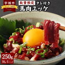 【ふるさと納税】【数量限定】 馬肉 ユッケ 250g 50g×5パック タレ付き 馬肉 熊本馬刺し 肉 お肉 生食 刺身 刺し身 お取り寄せグルメ 冷凍 熊本県 宇城市 送料無料