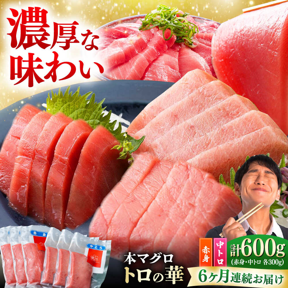 【ふるさと納税】【全6回定期便】対馬産 本マグロ 600g（赤身300g、中トロ300g） ≪対馬市≫【桐谷商店】 トロの華 対馬 新鮮 マグロ 赤身 トロ 鮪 刺身[WAQ069]