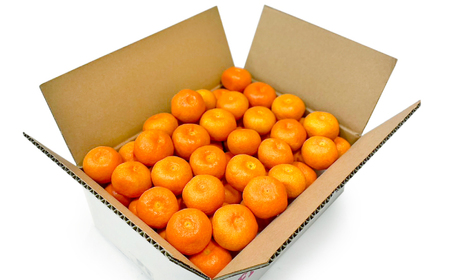 みかん 【高島屋選定品】先行予約 九州屋 味ロマン3kg（S?Mサイズ）＜高島屋＞CFQ056 みかん