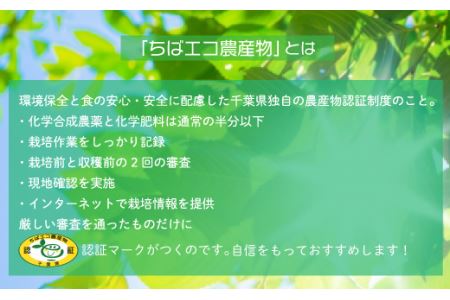 【ちばエコ農産物認証茶葉】房総みどり５本セット 【 ふるさと納税 人気 おすすめ ランキング お茶 緑茶 日本茶 茶葉 千葉県 大網白里市 送料無料 】H001