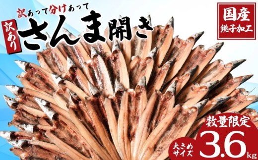 訳あって さんま開き 約3.6kg 36枚 1枚約100g 分け合って 訳あり わけあり さんま開き さんま サンマ 秋刀魚 開き 季節の味覚 銚子 海の幸 海鮮 さんま 干物 新鮮 冷凍 人気 おすすめ 大容量 国産 銚子加工 大きい 焼き魚 夕食 朝食 人気 おすすめ 簡単調理 ふるさと納税 ふるさと納税銚子市 ふるさと納税さんま ふるさと納税干物 ふるさと納税魚 千葉県 銚子市 ヤマニンベン