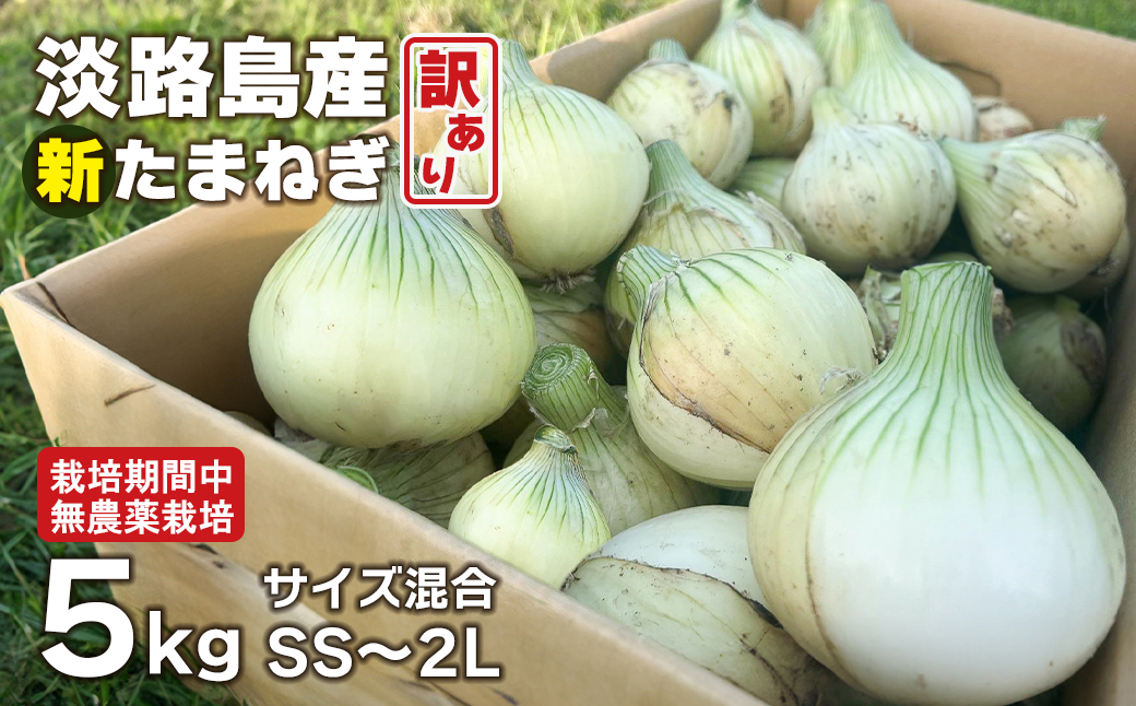 淡路島産 新玉ねぎ 5kg【栽培期間中、無農薬栽培】【訳あり】