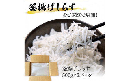 釜揚げしらす 500g × 2パック 高知県産 【しらす】