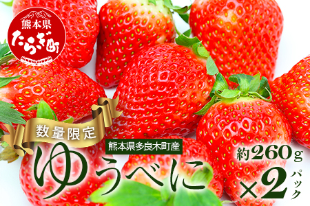 熊本県産いちご ゆうべに 約260g×2パック 産地直送 国産 新鮮 フレッシュ 果物 苺 103-0001