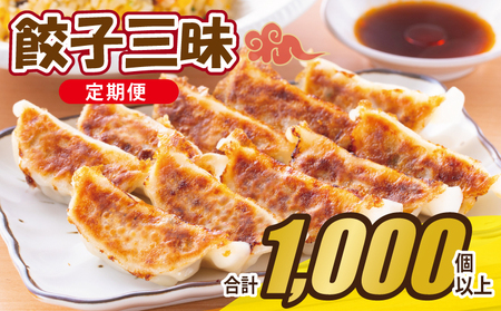 【合計1000個以上】餃子三昧 定期便 88個×12回【毎月配送コース】