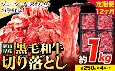 【12ヶ月定期便】黒毛和牛 切り落とし 1kg《お申込み月翌月から出荷開始》｜牛肉牛肉牛肉牛肉牛肉