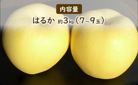 【大櫻農園】はるか 盛岡 完熟 りんご 約3kg(7~9玉)林檎 リンゴ 果物 フルーツ 旬の果物 旬のフルーツ 季節の果物 季節のフルーツ 岩手りんご 岩手県 盛岡市