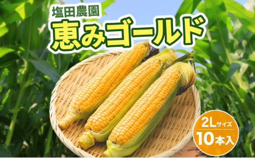 
北海道産 とうもろこし 恵味 ゴールド 2L 10本 朝採り めぐみ 玉蜀黍 コーン スイートコーン とうきび 大きめ 甘い 新鮮 旬 もぎたて 産地直送
