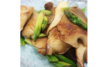  あわび茸 生 1kg ( きのこ 希少 足太あわび茸 きのこ キノコ 国産 きのこ 食材 健康 きのこ 農薬不使用 滋賀県 きのこ 竜王町 きのこ 送料無料 贈り物 ギフト 産地直送 )