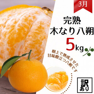 【発送月固定定期便】農家直送!ご家庭用　2種の柑橘定期便(みかん・八朔)各5kg【訳あり】全2回【配送不可地域：離島・北海道・沖縄県】【4053556】