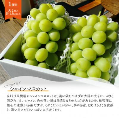 ふるさと納税 真庭市 【発送月固定定期便】【2026年先行予約】シャインマスカットと梨2-3種上級品(岡山県産)全2回 |  | 01