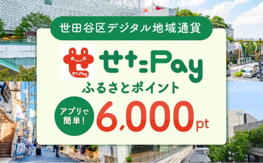 
            世田谷区 地域限定通貨「せたがやPay」 ふるさとポイント6,000pt（1pt＝1円）6,000円分 せたぺい デジタル地域通貨 電子決済 キャッシュレス 飲食 宿泊 体験 電子通貨 東京都 世田谷
          