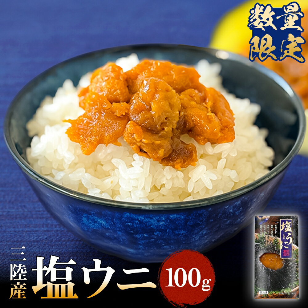 【ふるさと納税】＜数量限定＞三陸産 塩ウニ 100g 冷凍 雲丹 塩うに うに 生うに ウニ 雲丹 珍味 塩漬 海鮮 魚介 おつまみ ご飯のお供 酒の肴