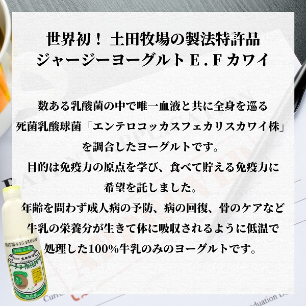 毎月お届け！ジャージー ヨーグルト(E・Fカワイ)900ml×2本 6ヶ月定期便(飲む ヨーグルト)