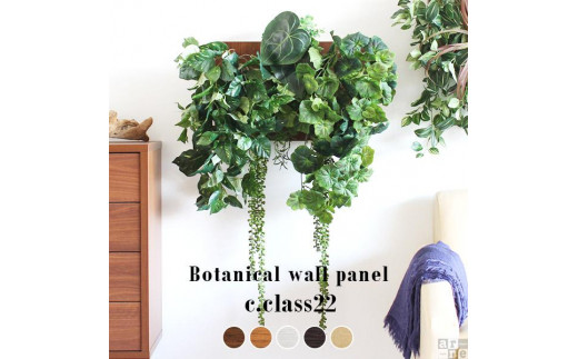 Botanical c.class 22　ダークブラウン