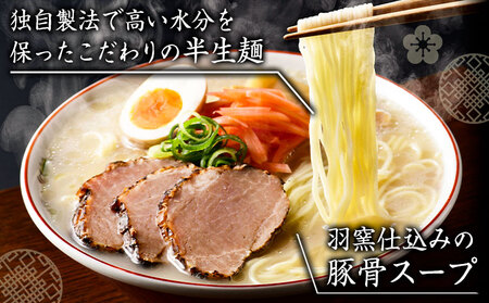 まるいち 博多とんこつラーメン 21食入り 九州丸一食品株式会社《30日以内に出荷予定(土日祝除く)》福岡県   拉麺 ギフト対応 贈答 