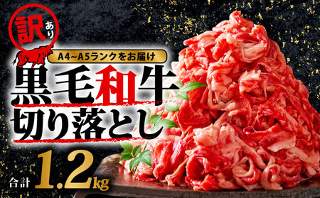  訳あり 牛肉1.2kg 訳あり 牛肉 MEP