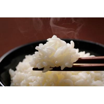 ふるさと納税 館山市 千葉県館山産コシヒカリ　精米　4.5kg |  | 03