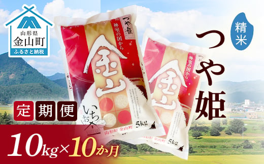 令和6年産《定期便》金山産米 つや姫  【精米】10kg×10ヶ月 計100kg 10ヶ月 米 お米 白米 ご飯 精米 ブランド米 つや姫 送料無料 東北 山形 金山町 F4B-0516