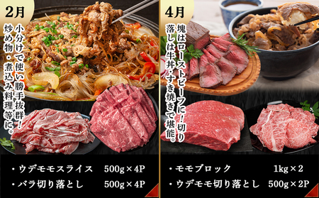 宮崎牛定期便(6回お届け) Eコース_TAI6-2501_(都城市) 宮崎牛 ウデ モモ バラ カルビ リブロース 肩ロース サーロイン スライス 切り落とし ブロック 焼肉 ステーキ