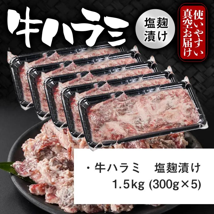 牛ハラミ 塩麹タレ漬け1.5kg〔14J-33-025-1500g〕_(都城市)  味付き 牛肉 真空 小分け