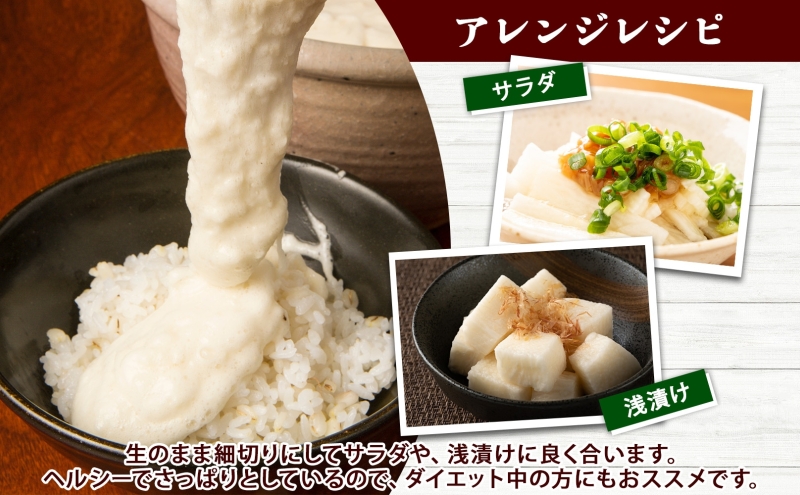 北海道産 長いも 秋冬出荷 約10kg 2025年11月中旬～2026年3月下旬お届け 長芋 ながいも とろろ 農作物 野菜 新鮮 根菜 新物 山かけ 産地直送 お取り寄せ 送料無料 冷蔵 北海道 洞