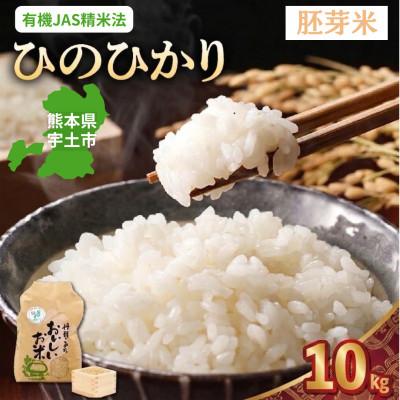 ふるさと納税 宇土市 【先行予約】令和8年産米 那須自然農園「ひのひかり」胚芽米10kg